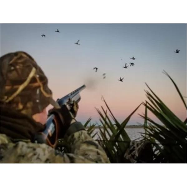 Duck Hunting  Las Rosas, 4 Hunters for 4 Nights