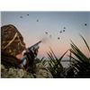 Image 1 : Duck Hunting  Las Rosas, 4 Hunters for 4 Nights