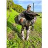 Image 3 : Oakstone Outfitters Turkey Hunt for 2