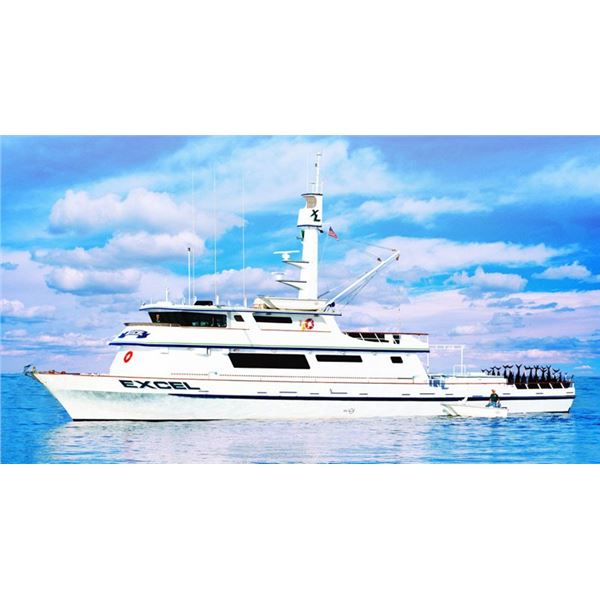 Excel 8 Day Trip for 2 Anglers
