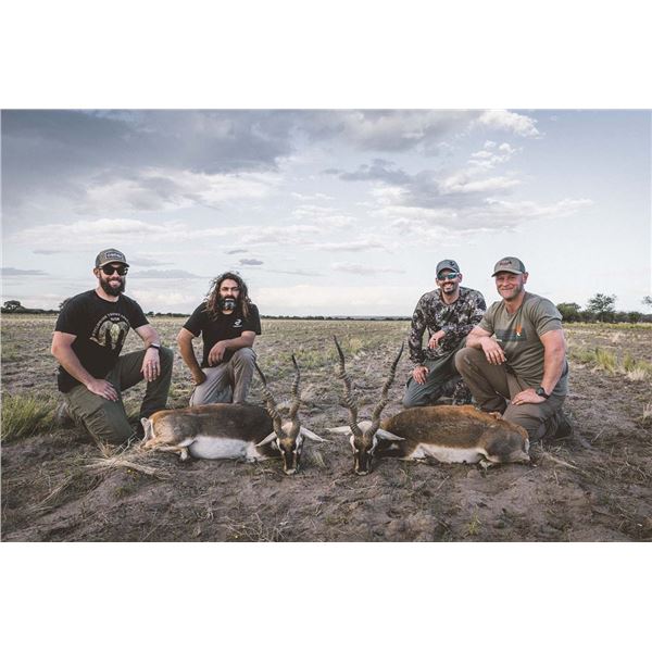 Cazapampa Argentina Black Buck