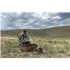 Image 2 : Cazapampa Argentina Black Buck