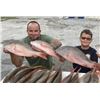 Image 2 : Florida Swamp & Saltwater Adventure for Two