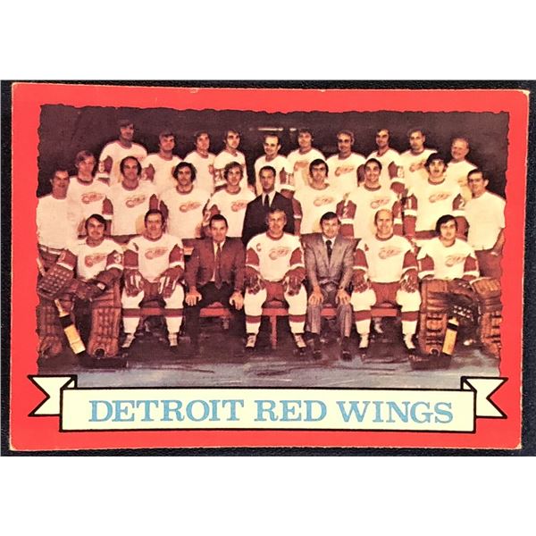 1973-74 O-PEE-CHEE NHL DETROIT RED WINGS