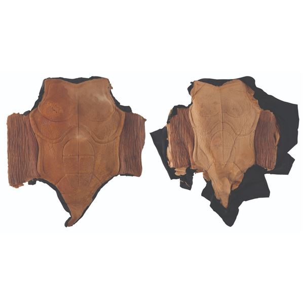 A Pair of  "Ninja Turtles: The Next Mutation " Venus de Milo Torsos.