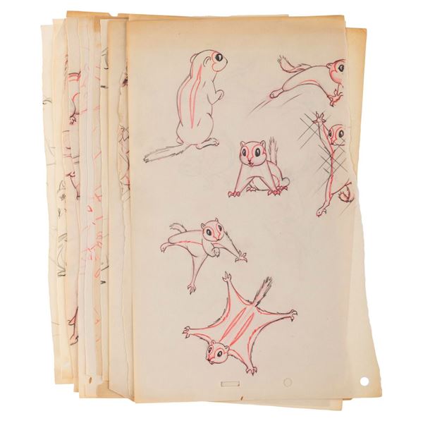 A Collection of Early Disney Squirrel Drawings.