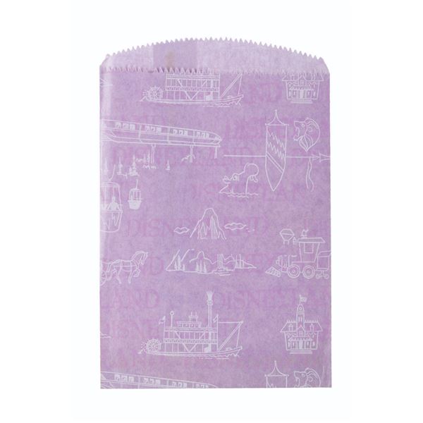 A Disneyland Shopping Bag and Receipts.