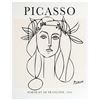 Image 1 : Pablo Picasso Ð Portrait de Franoise, 1946 Ð 16 _
