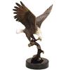 Image 1 : Eagle on Branch