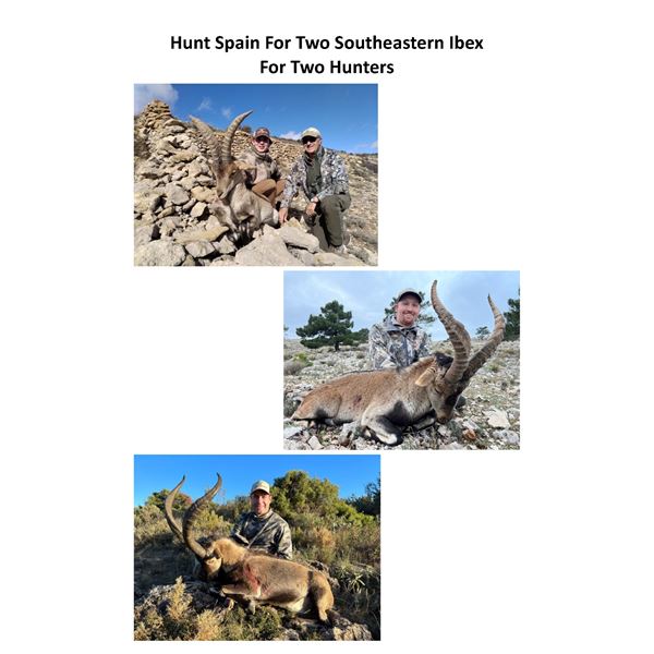 Hunt For Two (2) Southeastern Ibex for Two (2) Hunters in Spain