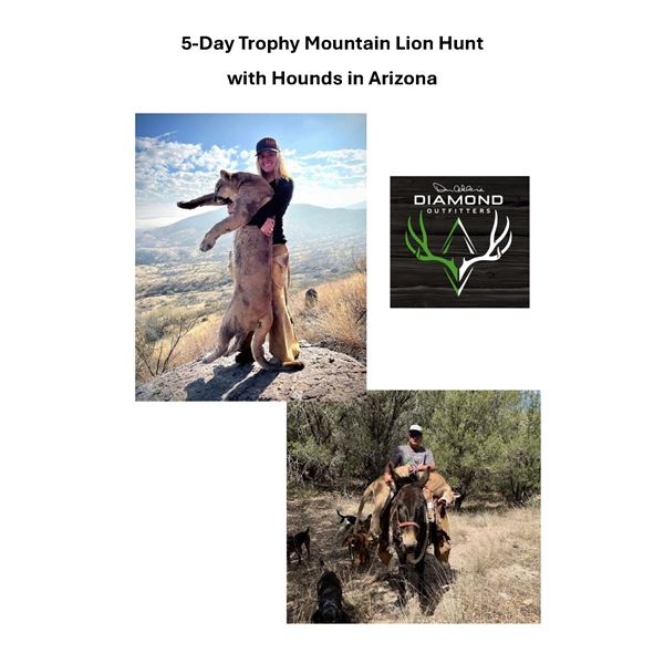 5-Day Trophy Mountain Lion Hunt w/ Hounds in Arizona