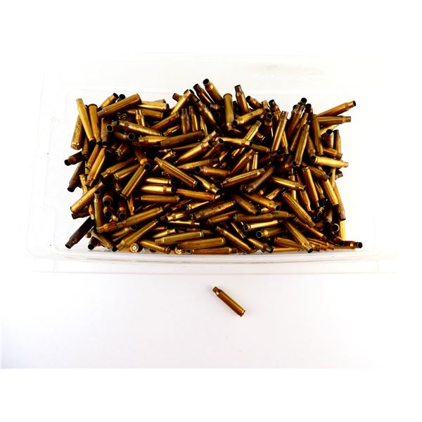 NON-PRIMED ASSORTED .223 REM BRASS CASES LOT