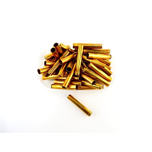 NEW NON-PRIMED JAMISON .458 LOTT BRASS CASES LOT