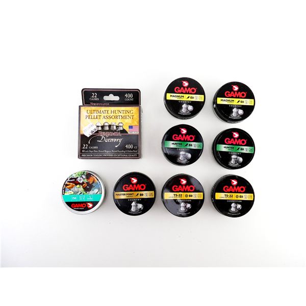 ASSORTED .22 CALIBER PELLETS LOT