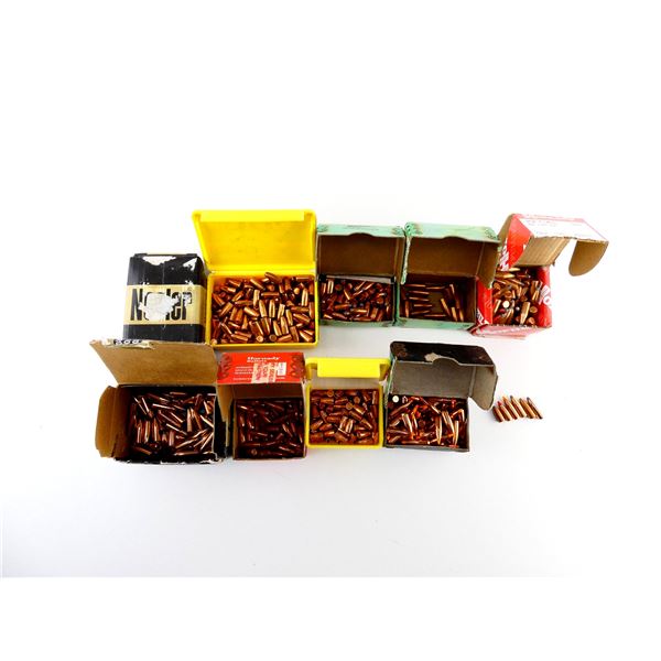 ASSORTED .22 CALIBER BULLETS LOT