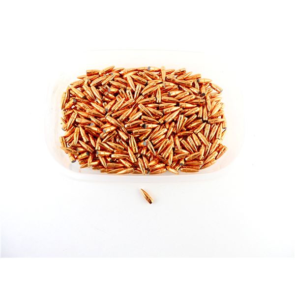 UNKNOWN .223 CALIBER BULLETS LOT