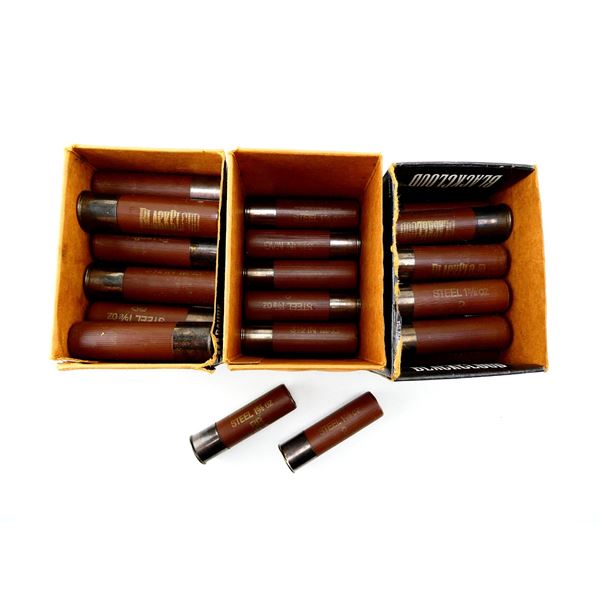 RELOADED ASSORTED 10 GAUGE 3 1/2" SHOT SHELL AMMO LOT