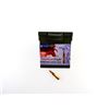Image 3 : FEDERAL AMERICAN EAGLE 5.56X45MM AMMO LOT