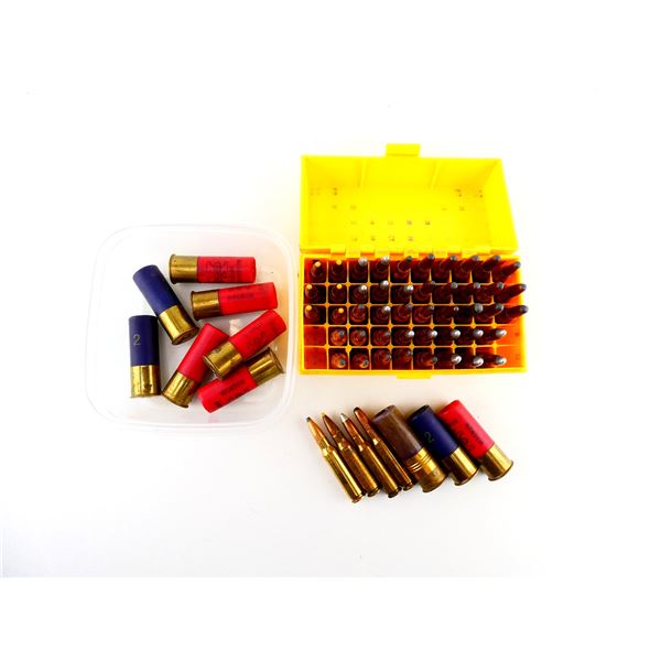 ASSORTED .308 WIN AND 12 GAUGE 2 3/4" SHOT SHELL AMMO LOT