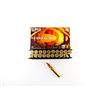 Image 1 : FEDERAL .35 WHELEN AMMO LOT