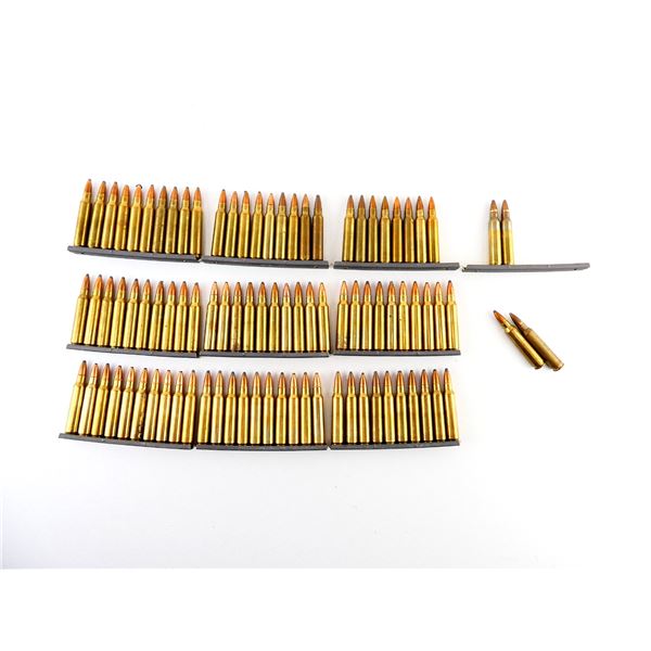 ASSORTED .223 REM AMMO LOT