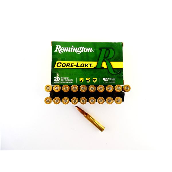 REMINGTON .30-06 SPRG AMMO LOT