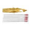 Image 2 : FLEETWOOD LEGION 400 ARROWS LOT