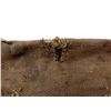 Image 6 : ASSORTED NON-PADDED RIFLE CASES / TAKEDOWN GUN CASES AND GUN SOCKS LOT