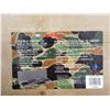Image 7 : ASSORTED HARD PADDED DOUBLE AND SINGLE RIFLE CASES LOT