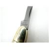 Image 6 : ASSORTED KNIVES AND SHARPENER LOT