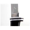 Image 4 : BUCK KNIVES 119 AND BUCK KNIVES 102 LOT