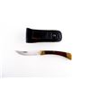 Image 2 : G96 FOLDING KNIFE WITH SHEATH