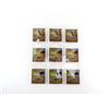Image 1 : ASSORTED COCALL MICRO SD MOOSE CALL LOT