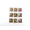 Image 1 : ASSORTED COCALL MICRO SD MOOSE CALL LOT