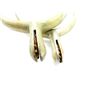 Image 3 : UNKNOWN BOOT SPURS
