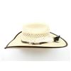 Image 4 : TEXAS HAT RESISTOL STYLE