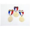 Image 2 : CANADIAN COMMEMORATIVE WWII NETHERLANDS LIBERATION MEDAL LOT