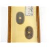 Image 3 : FRAMED 1603-1880 JAPANESE / CHINESE COINS AND PAPER MONEY LOT