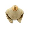 Image 3 : CANADIAN / BRITISH MILITARY MANNEQUIN TORSO