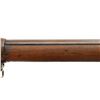 Image 11 : BRITISH MARTINI HENRY | Model: IV | Caliber: .577-450