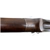 Image 24 : BRITISH MARTINI HENRY | Model: IV | Caliber: .577-450