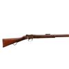 Image 2 : BRITISH MARTINI HENRY | Model: IV | Caliber: .577-450