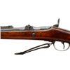 Image 6 : BELGIAN ALBINI BRAENDLIN | Model: 1867 Rifle | Caliber: 11MM X 42R