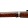 Image 9 : BELGIAN ALBINI BRAENDLIN | Model: 1867 Rifle | Caliber: 11MM X 42R
