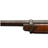 Image 9 : SNIDER ENFIELD | Model: MKIII Sporter | Caliber: .577 SNIDER