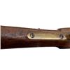 Image 21 : SNIDER ENFIELD | Model: MK II** Three band | Caliber: .577 SNIDER