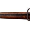 Image 23 : SNIDER ENFIELD | Model: MK II** Three band | Caliber: .577 SNIDER