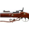 Image 6 : SNIDER ENFIELD | Model: 2 Band Sargant's Rifle | Caliber: .577 SNIDER