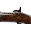 Image 8 : US SPRINGFIELD | Model: 1861 Sporter | Caliber: .62 CAL