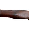 Image 16 : UNKNOWN MAKER | Model: Sporter | Caliber: .72 CAL